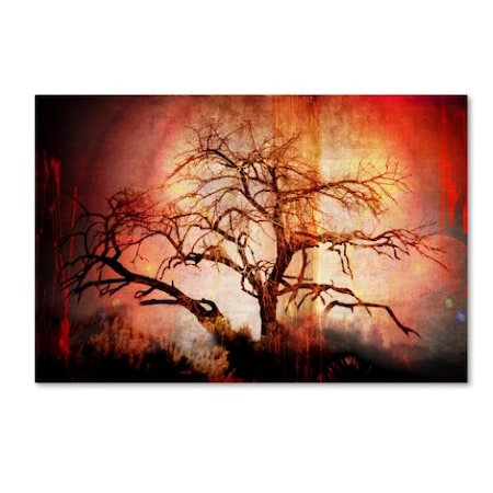 LightBoxJournal 'Cottonwood Tree Part 10' Canvas Art,12x19